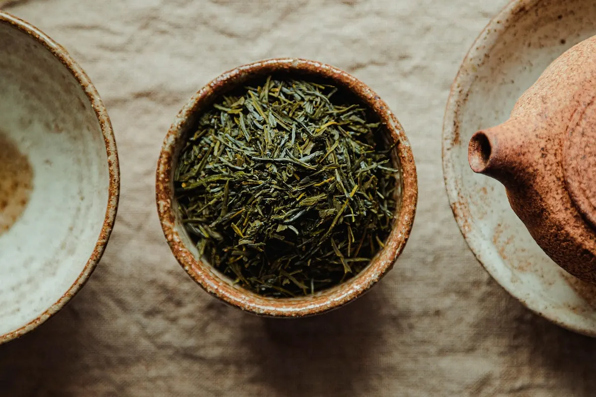 Matcha vs Sencha: A Beginner's Comparison of Flavor, Caffeine, and Brewing